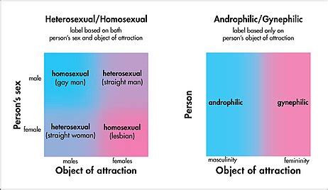ANDROPHILE Definition & Usage Examples .